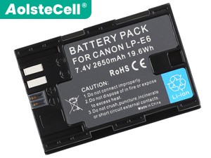 Battery for Canon EOS R6