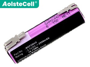 Battery for Karcher WV1