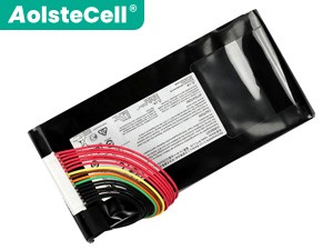 Battery for MSI GT80S-6QD16H11BW