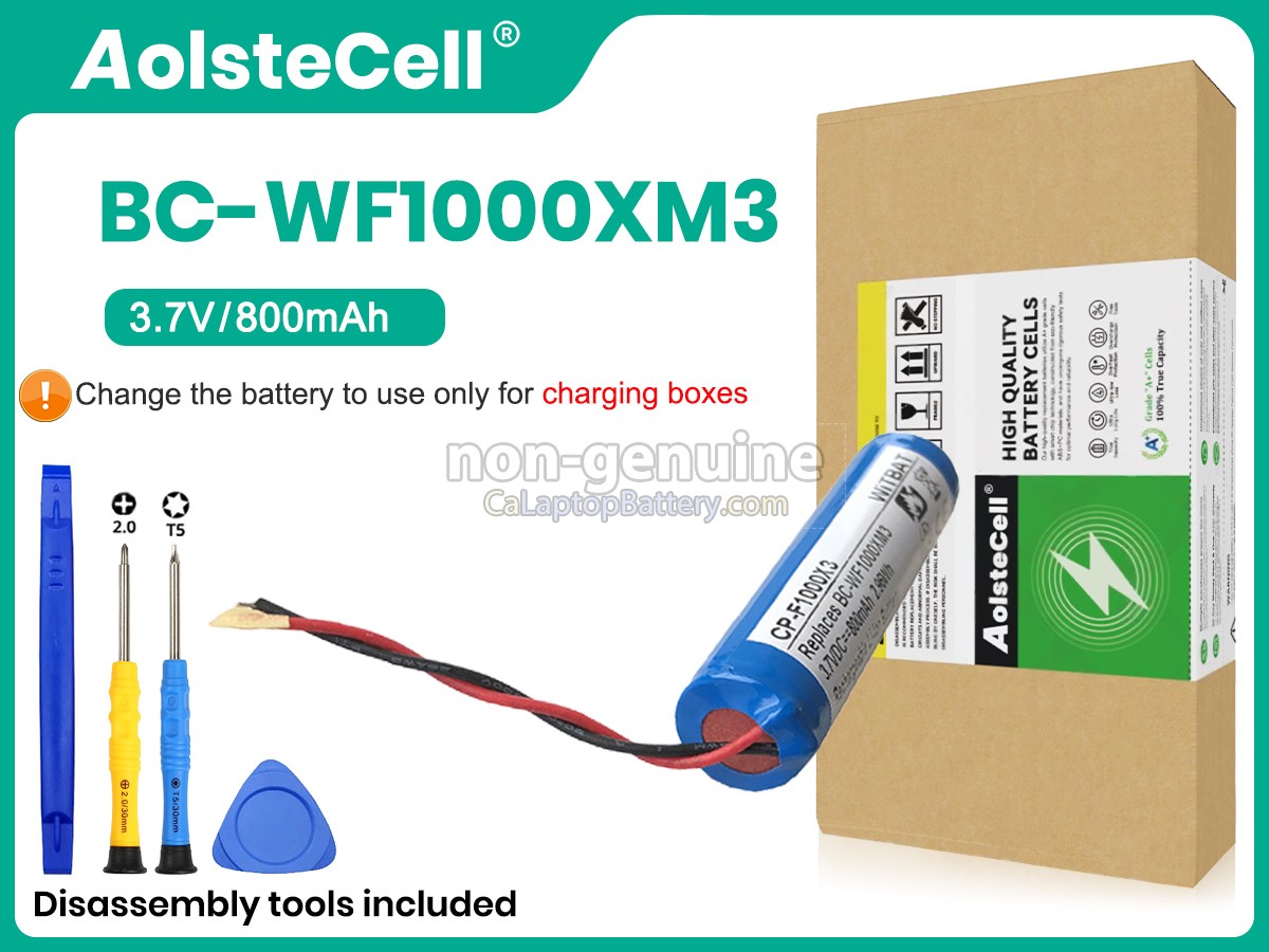 replacement Sony BC-WFS900 battery