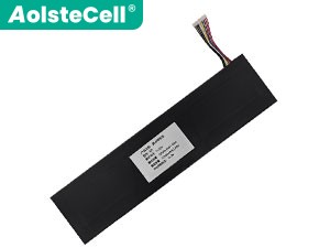 Battery for TongfangPC TAC101